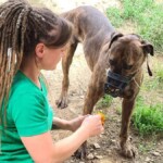 Eine Frau mit Dreadlocks kniet vor einem braunen Hund mit Schnauze und gibt ihm ein Leckerli im Gras.