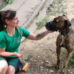 Frau in grünem Hemd streichelt gestromten Hund mit Schnauze im Freien.