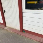 Bemalter Felsen am Sockel des weißen Vogelhaus-Gebäudes, rote Tür.