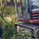 Bagger teilweise durch dichtes grünes Laub und Äste verdeckt.