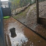 Schlammiger, überschwemmter Hof im Tierheim Siegen mit einem Eimer und einem grünen Becken neben Zaun und Stufen.