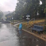 Verregneter Weg mit Bank, Müllsack, Bäumen und Schildern im Tierheim Siegen.