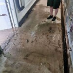 Person im schlammigen Gang bei Käfigen, nasser Boden im Tierheim Siegen.