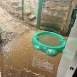 Sandkasten der grünen Schildkröte im schlammigen Hof am Tor des Tierheims Siegen.