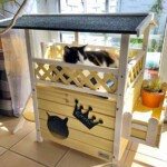 Schwarz-weiße Katze in einem Holzhaus neben einer Pflanze und einem Fenster.