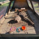 Tierheim Siegen Außengehege mit Schalen, Baumstämmen und Ziegeln.