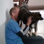 Tierheim Siegen: Mann in blauem Hemd umarmt schwarz-weißen Hund in einem Haus.