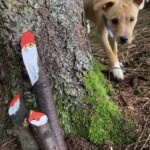 Welpe bei einem Baum mit Gnomengesichtern auf moosbewachsenem Waldboden.