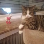 Getigerte Katze am Fenster mit kleiner weißer und roter Ziegenfigur.