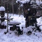 Schwarzer Hund im Schnee neben Holzskulpturen und Schild, Tierheim Siegen.