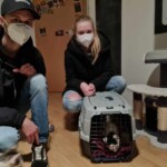 Zwei maskierte Personen mit einer Katze in einem Transportbehälter an einem Kratzbaum.
