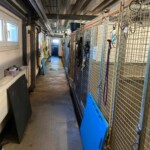 linker Gang Hundehaus 1 linker Gang
