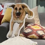 Kartonausschnitt eines lächelnden Hundes auf Sofa mit hellen Kissen.