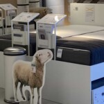 Pappschafe neben Matratzen im Tierheim Siegen.
