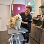 Groomer lächelnd, bürstet flauschigen weißen Hund im Tierheim Siegen.