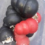 Eimer mit zerkautem schwarzem und rotem Kong-Spielzeug, gefüllt mit weißer Paste.